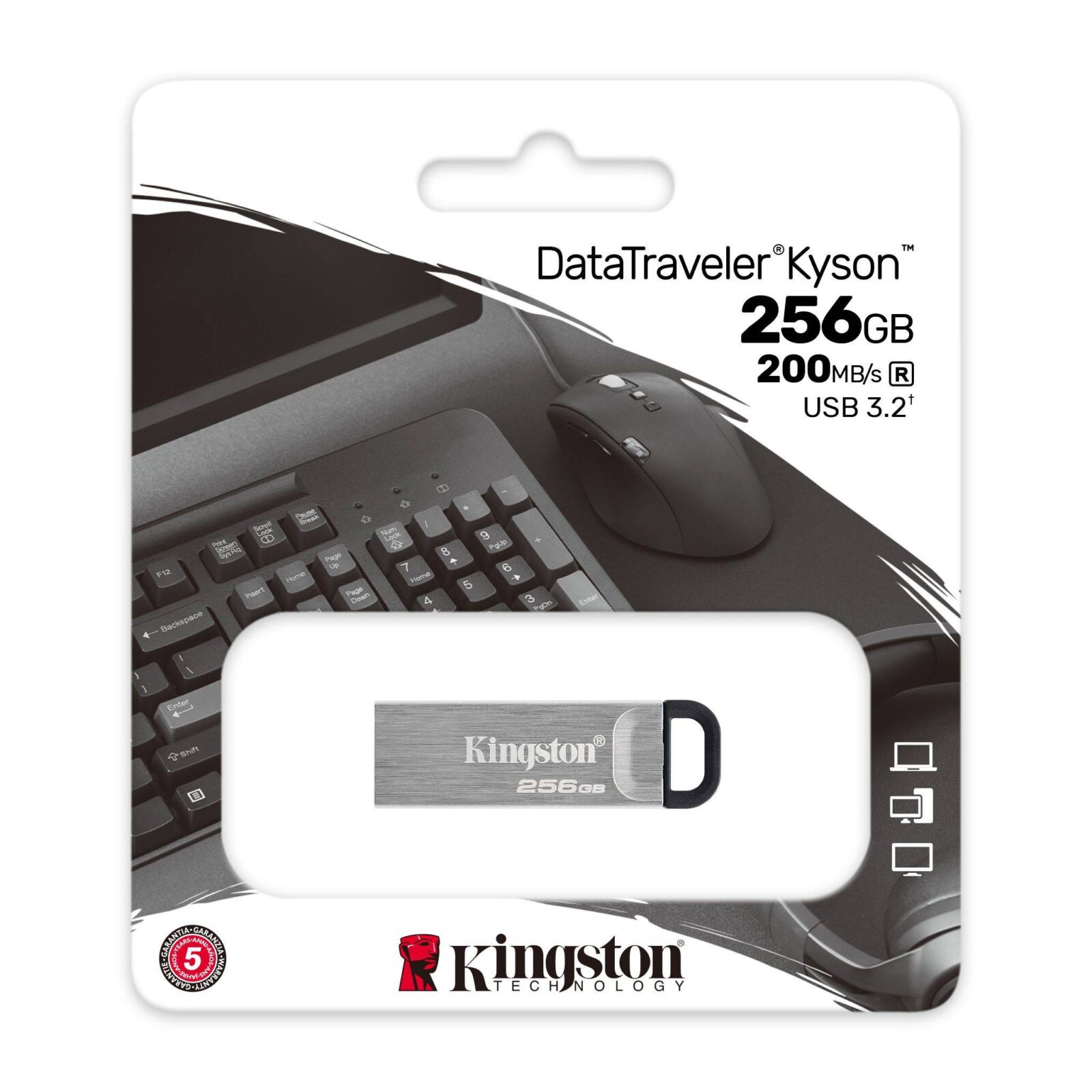 Флеш-накопичувач Kingston USB 3.2 DT Kyson 256GB Silver/Black — фото 3