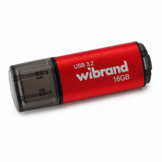 Флеш-накопичувач Wibrand USB 3.2 Ladybug червоного кольору
