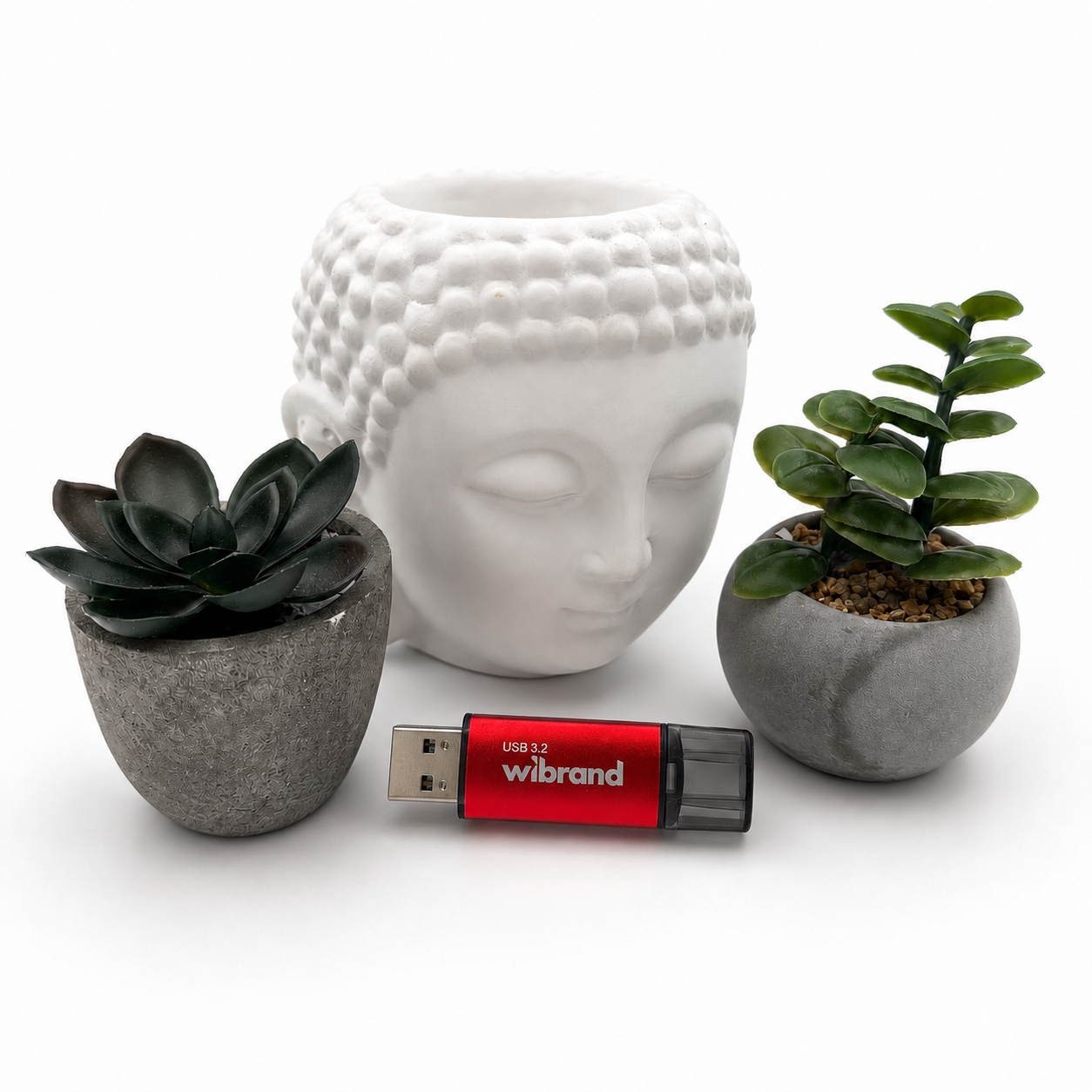 Флеш-накопичувач Wibrand USB 3.2 Ladybug червоного кольору — фото 6