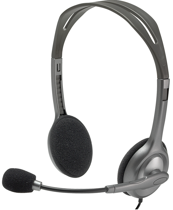 Гарнітура LOGITECH Stereo Headset H110 срібляста