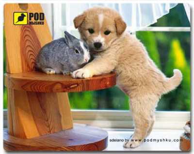 Килимок для миші Цуценя Podmyshku