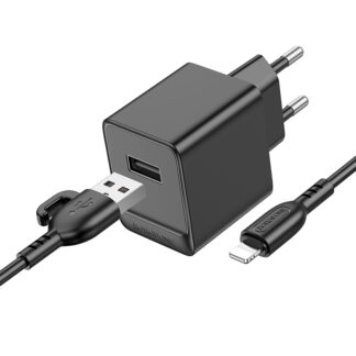 Мережевий зарядний пристрій Borofone BAS11A Erudite для iPhone