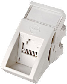 Модуль RJ45 кутовий PowerCat 6 MOLEX
