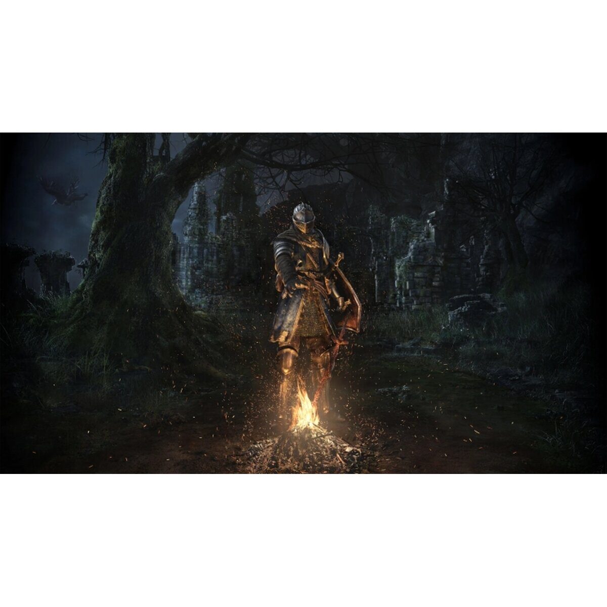 Гра консольна Switch Dark Souls: Remastered — фото 14