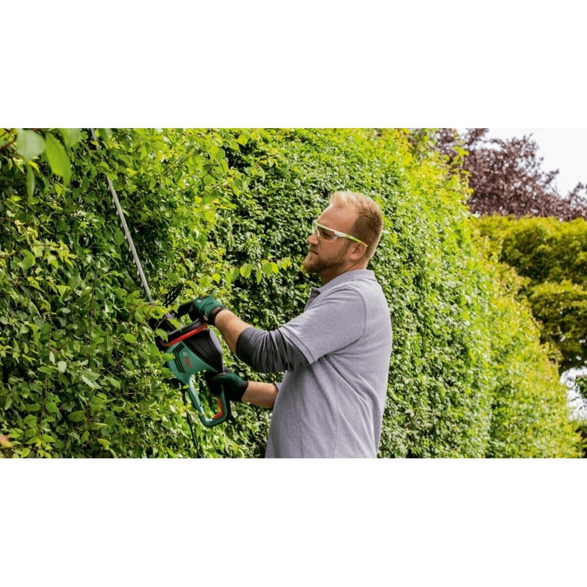 Кущоріз Bosch AdvancedHedgeCut 65 500 Вт 65 см — фото 4