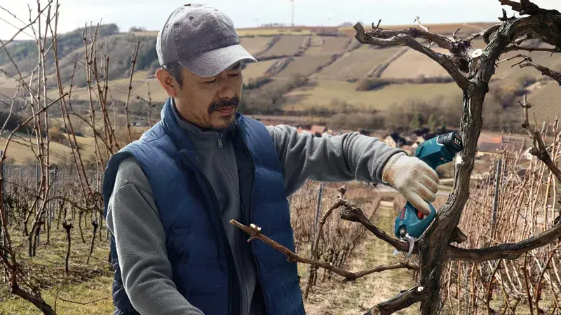 Секатор акумуляторний Bosch Professional Pruner, 12 В, 2 х 3 А·год, D — фото 3
